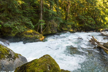 Similar image 13207449