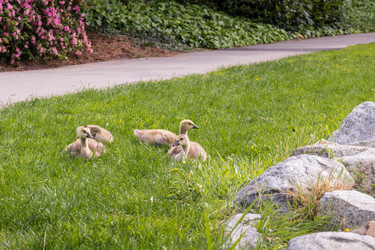 Similar image 13207464