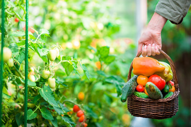 Similar image 13208198