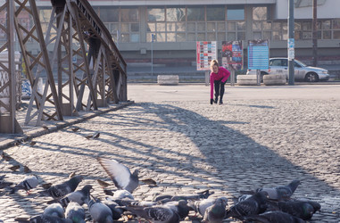 Similar image 13228916