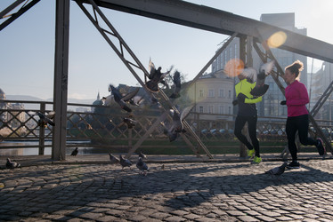 Similar image 13231982