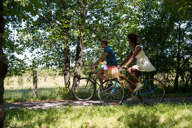 Similar image 13231865