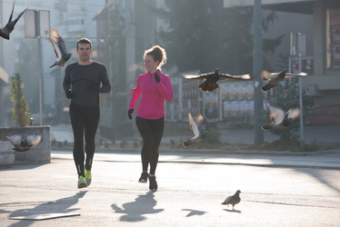 Similar image 13229618