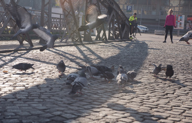 Similar image 13220040