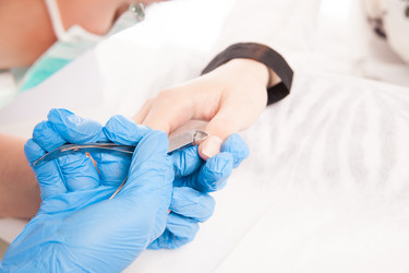 Similar image 13194259