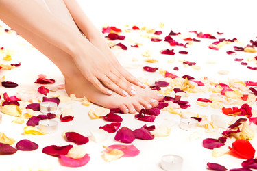 Similar image 13194326