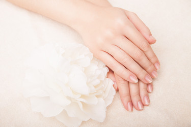 Similar image 13194185