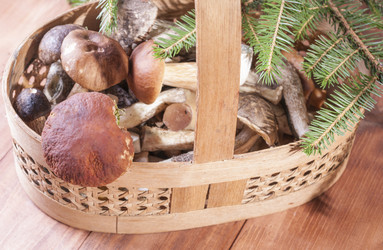 Similar image 13211677