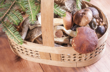 Similar image 13211678