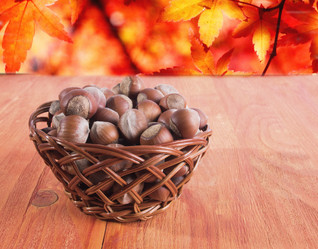 Similar image 13211636