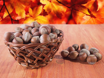 Similar image 13211637