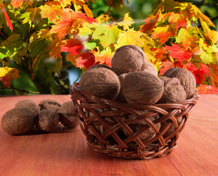 Similar image 13211640