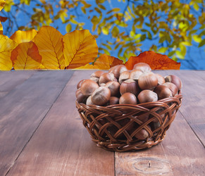 Similar image 13211642