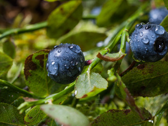 Similar image 13211643