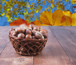 Similar image 13211644