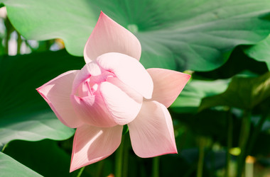 Similar image 13211656