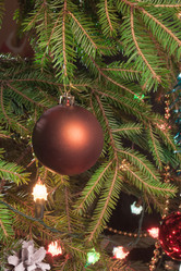 Similar image 13211671