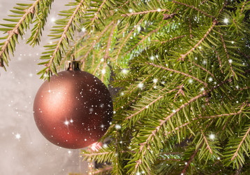 Similar image 13211672