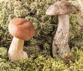 Similar image 13211682