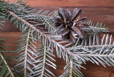 Similar image 13211710