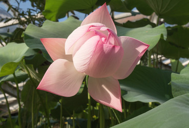 Similar image 13211711