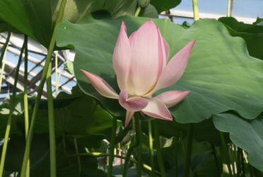 Similar image 13211712