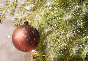 Similar image 13211714