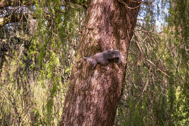 Similar image 13207385