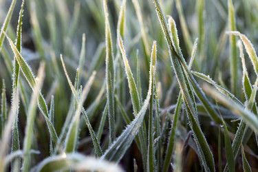 Similar image 13198140