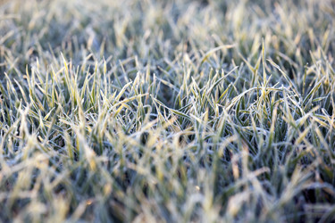 Similar image 13198141