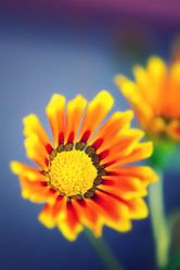 Similar image 13193017