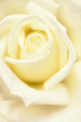 Similar image 13193019