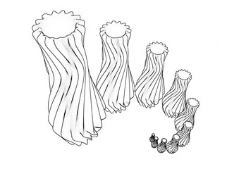 Similar image 13212990