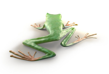 Similar image 13212770