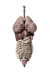 Similar image 13205300