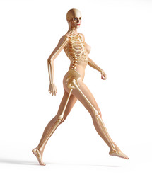 Similar image 13211361