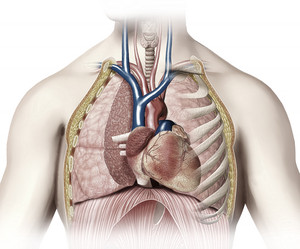 Similar image 13211438