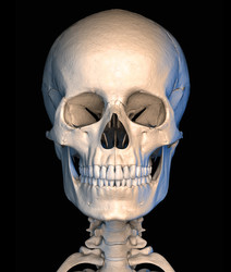 Similar image 13211441