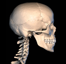 Similar image 13211480