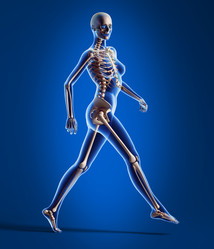 Similar image 13211497