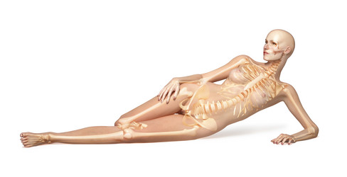 Similar image 13211500