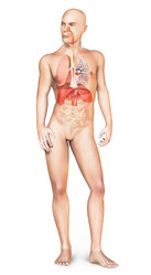 Similar image 13211521