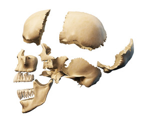 Similar image 13211600