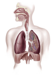 Similar image 13211937