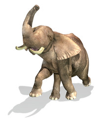 Similar image 13212002