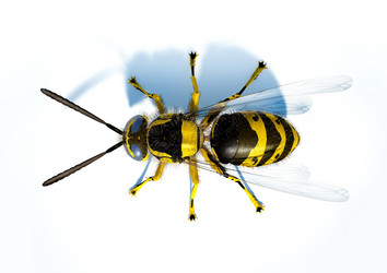 Similar image 13212036