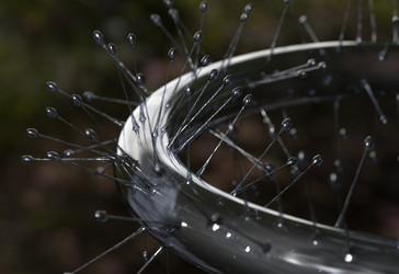 Similar image 13213109