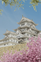 Similar image 13205279