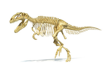 Similar image 13212067