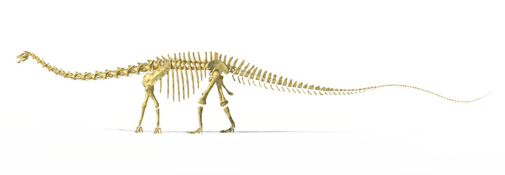 Similar image 13212069